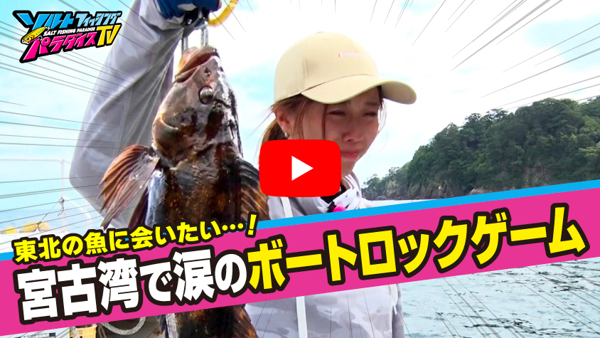 7/17公開