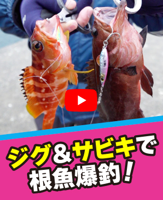 5/2公開
