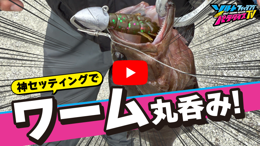 5/30公開