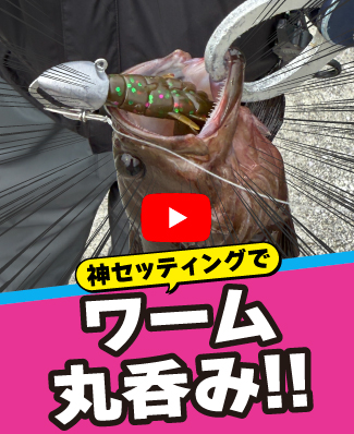 5/30公開