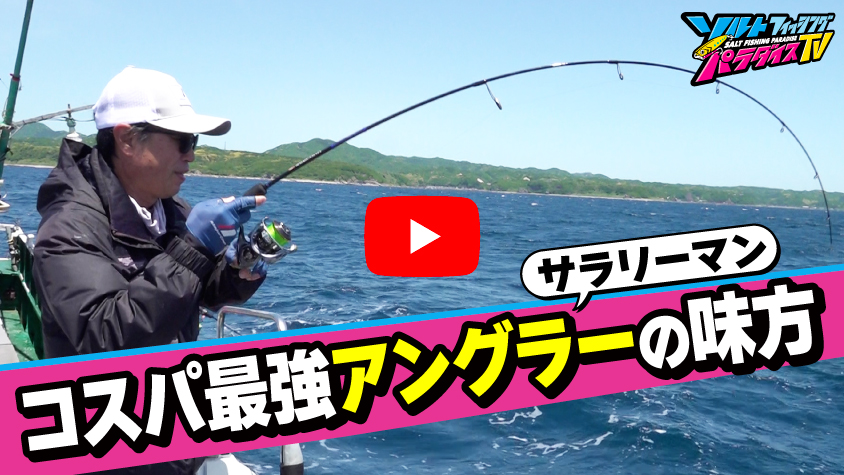 6/6公開