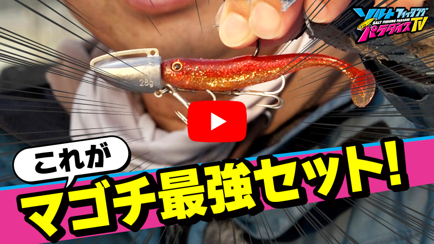 6/13公開