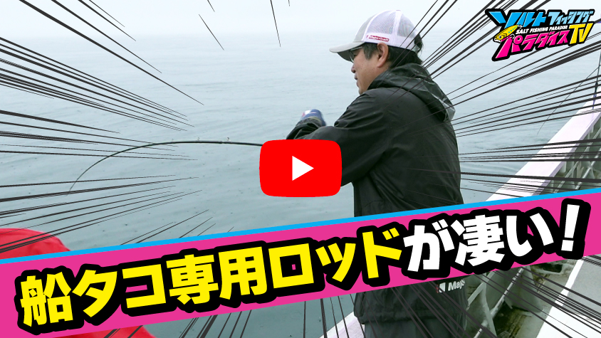 6/20公開