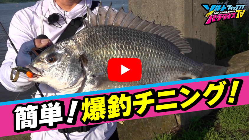 8/1公開
