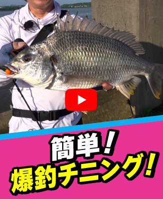 8/1公開
