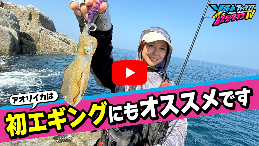 9/5公開