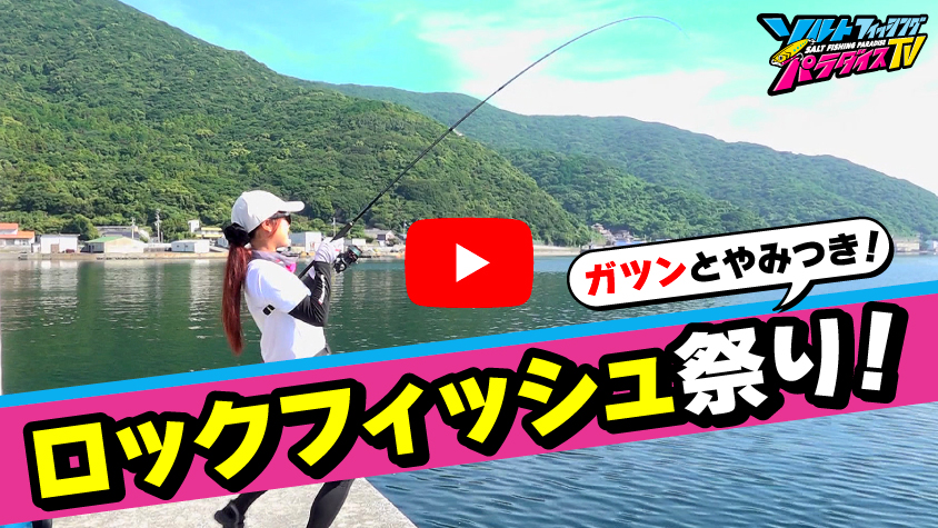 9/19公開
