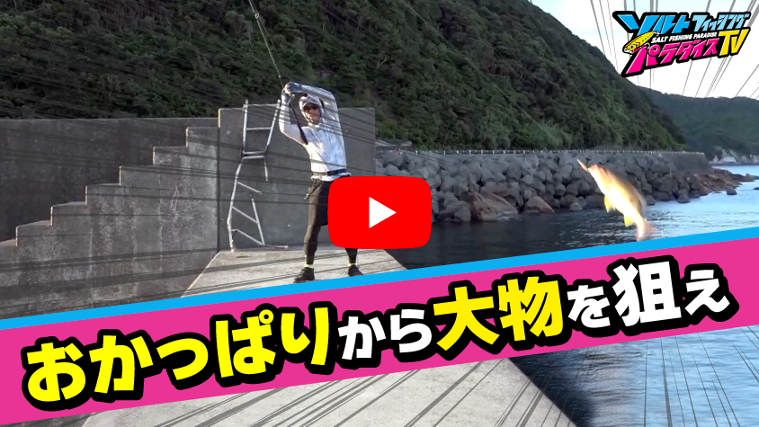 9/26公開