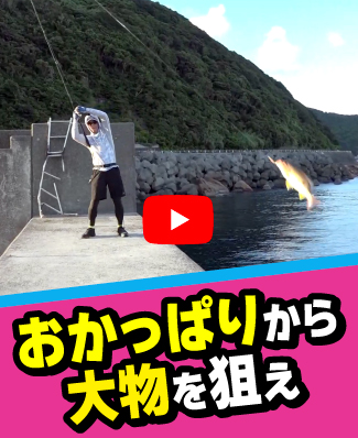 9/26公開