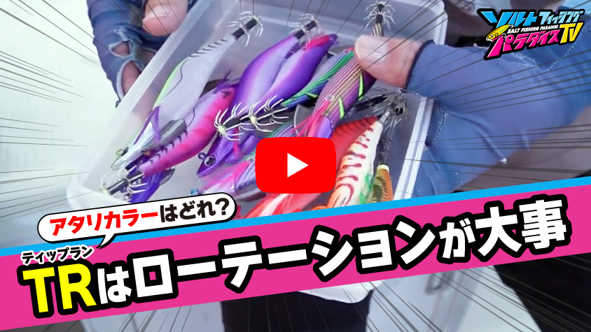 10/10公開