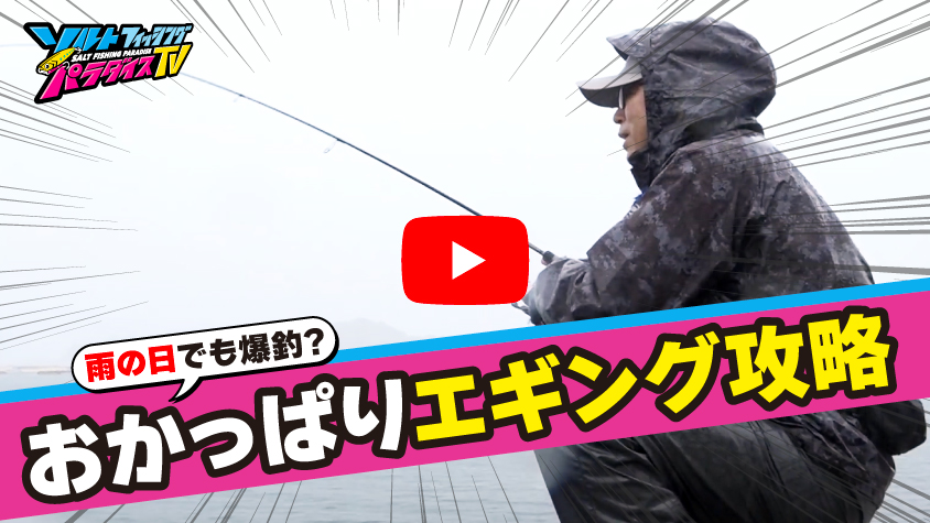 10/17公開