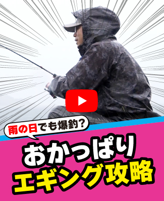10/17公開