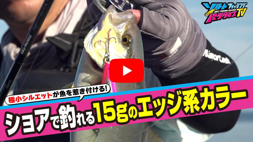 9/11公開