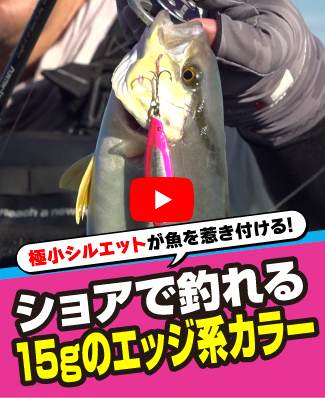 9/11公開