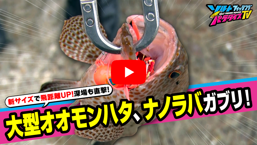 9/18公開