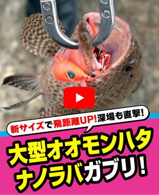 9/18公開