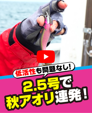 10/2公開