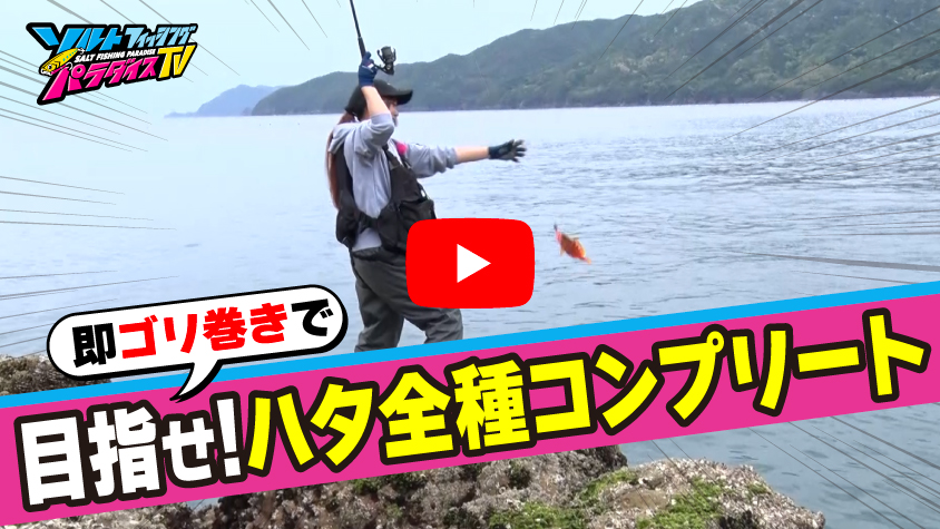 5/8公開