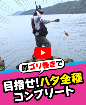 5/8公開