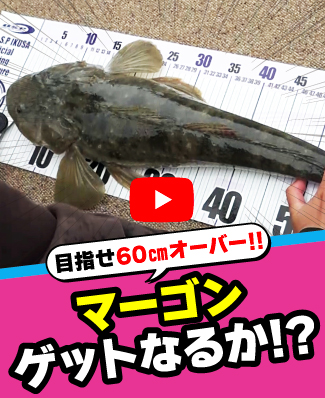 5/15公開