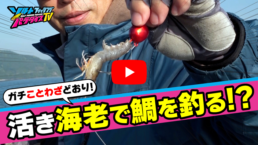 5/22公開