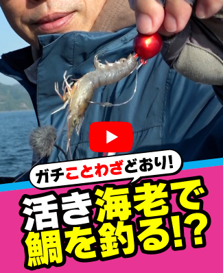 5/22公開