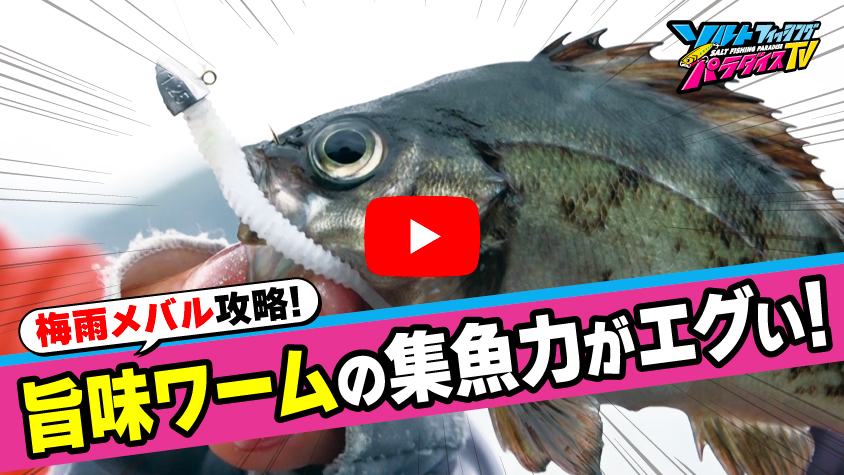 6/19公開