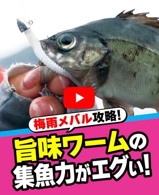 6/19公開