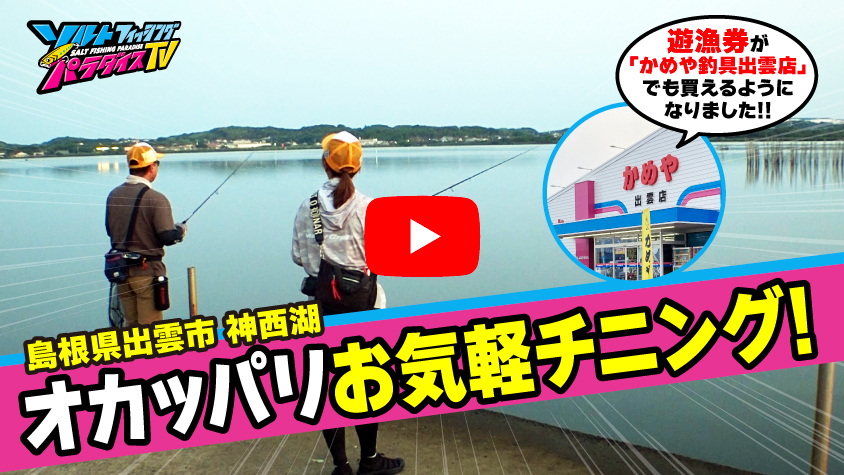 7/3公開