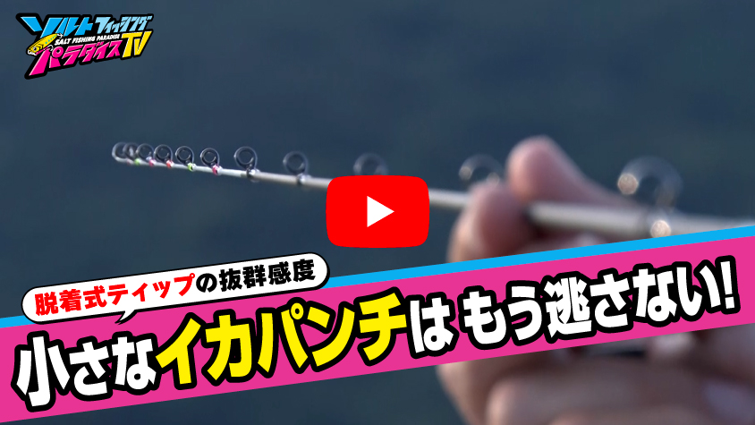8/7公開