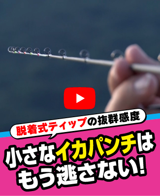 8/7公開