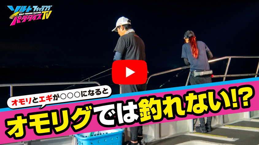 8/14公開